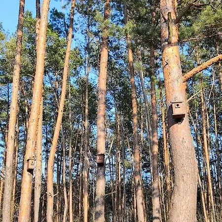 Pozarowo Na Mazowszu